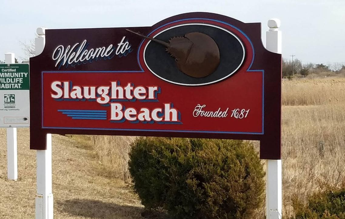 Featured image for “Slaughter Beach mayor asks Dems to rethink moving town to new Senate district”