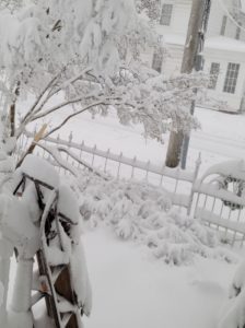 Major snowstorm kicks off 2022 18 Peggy Schmidt Winter Storm Frida