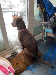 Major snowstorm kicks off 2022 19 Shelby Nash Dicostanzo Frida and Winter Storm Frida