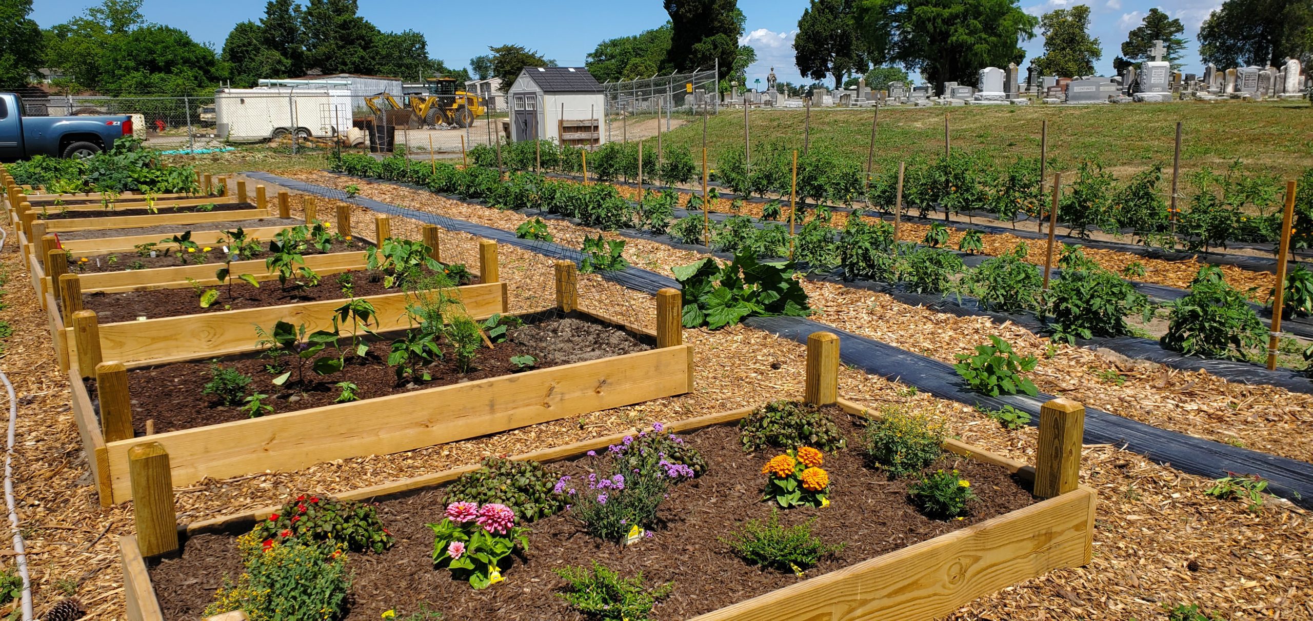 Featured image for “Community garden is entering its fifth season”