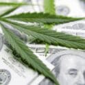 The financial responsibilities of the state as a result of legalizing marijuana was brought up in Wednesday's Joint Finance Committee hearing. (Photo by Aleksandr_Kravtsov/iStock)