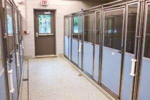 Humane Animal Partners