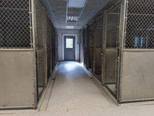 Humane Animal Partners