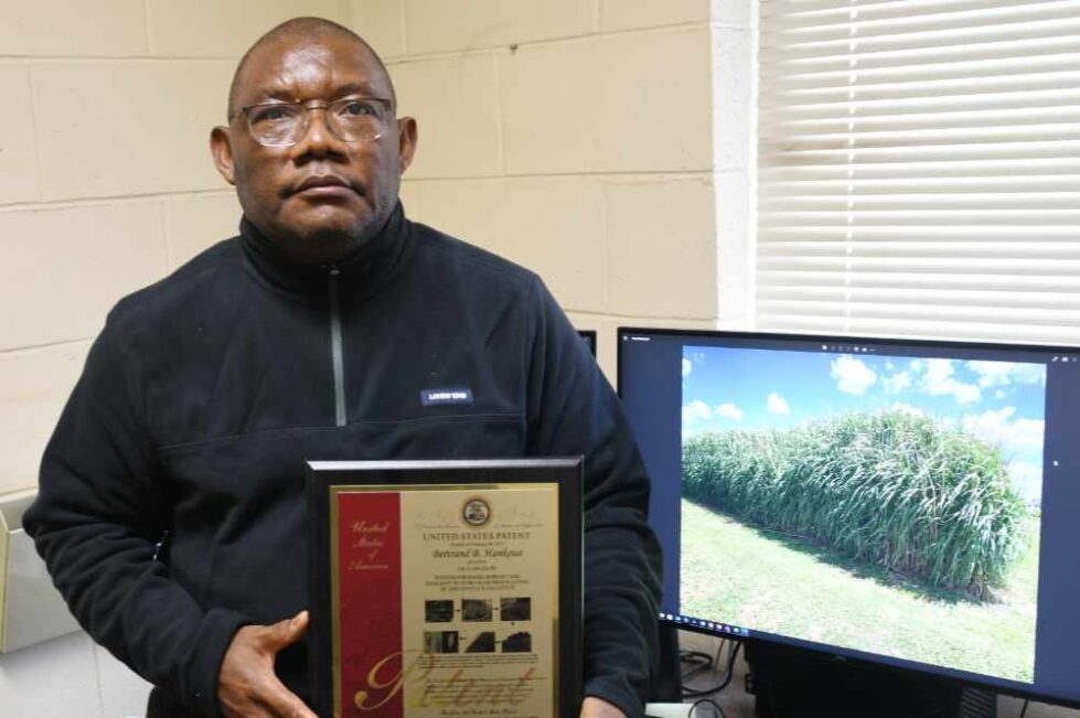 Dr. Bertrand Hankoua holds one of three patent plaques he has received for the development of a plant propagation method.