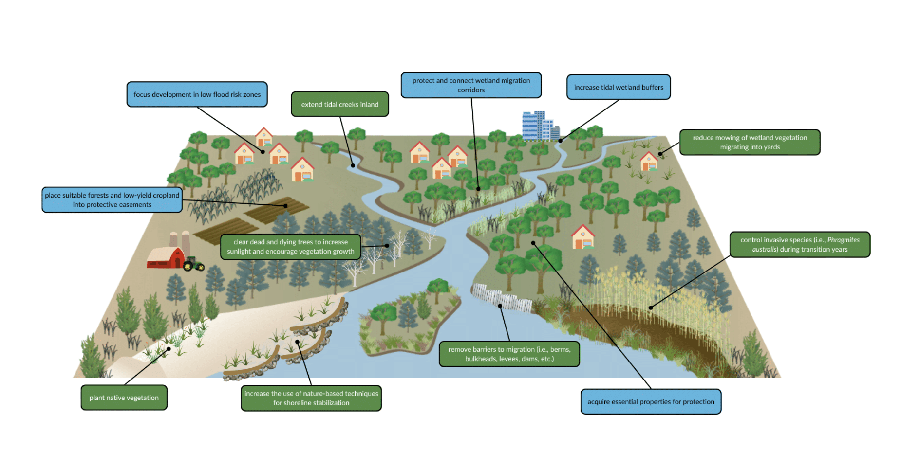 Featured image for “Delaware study maps most suitable areas for marsh migration amid rising seas”