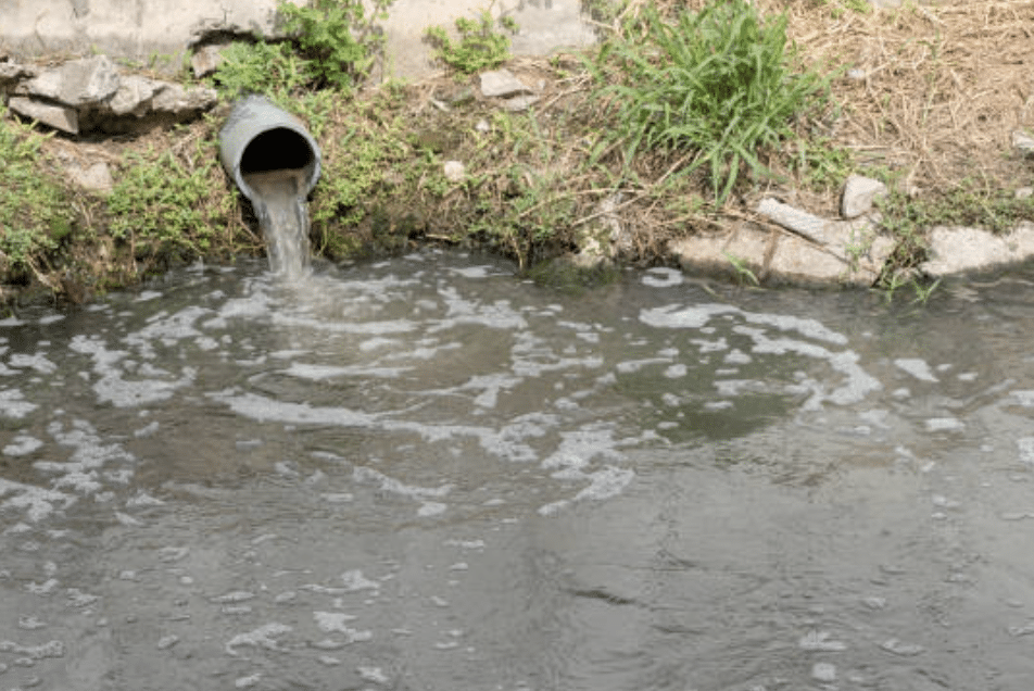 Health 149 Featured image for “Sussex County investigates wastewater discharge near Bethany Beach”