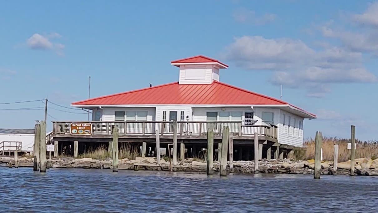Government 135 Featured image for “DuPont Nature Center Hosts ‘Sea Trash’ Learning Event at Slaughter Beach”