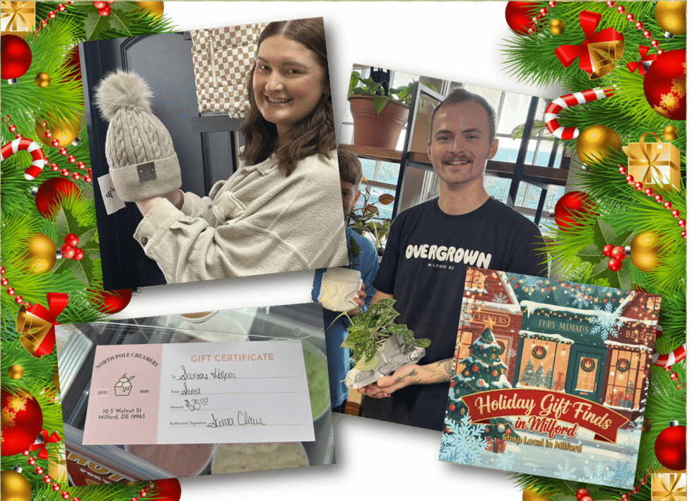 Milford Holiday Gift Finds: Great Shopping Ideas from Milford Retailers and Businesses: Part One 8 shopping list 1 e1764362936572