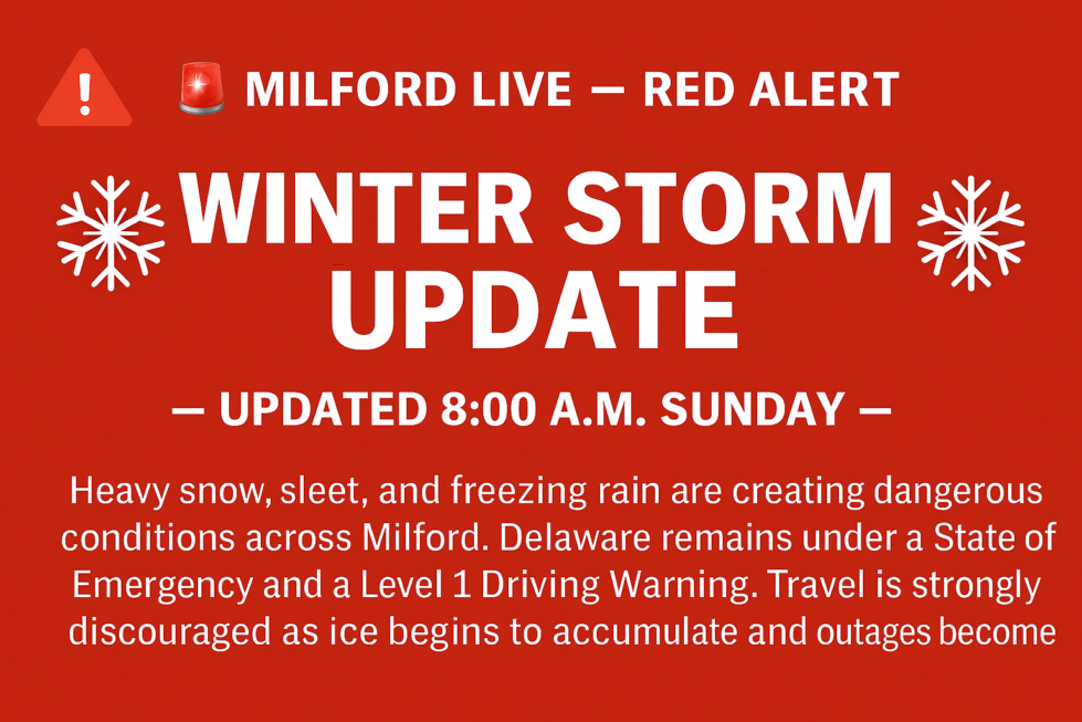 BCO.23ab8c09 c147 470b a921 6880da55d263