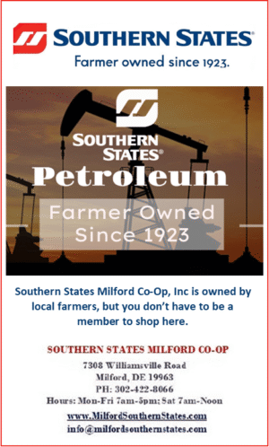 Gemeral Brand Ad 2 e1767711030613