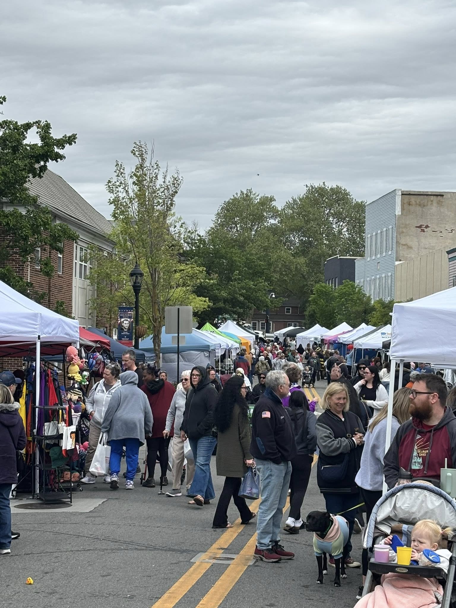 Facebook image posted by Robert Scott