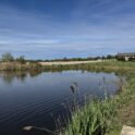Sussex County Land Trust preserves 88-acre Lewes farm