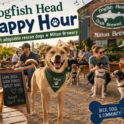 Dogfish Head to host ‘Yappy Hour’ with adoptable dogs in Milton