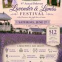 Lavender & Lambs Festival Returns to Brittingham Farms June 27