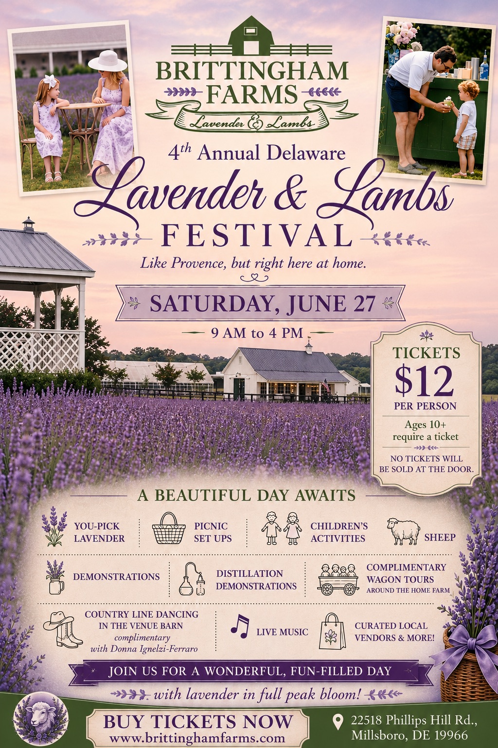 The Delaware Lavender & Lambs Festival returns to Brittingham Farms on June 27 from 9 a.m. to 4 p.m., featuring farm activities, local vendors and seasonal attractions set among blooming lavender fields. (Photo courtesy of Brittingham Farms.) 