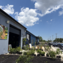 Farmacy Pic