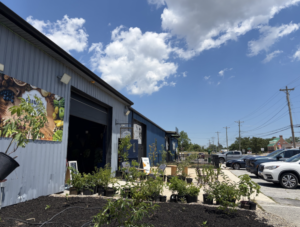 Farmacy Pic