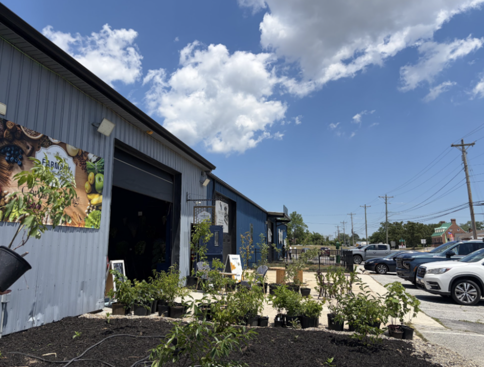 Farmacy Pic