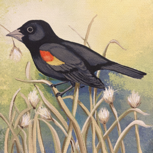 Calling All Artists: Mispillion Art League Launches 6x6 Art Fundraiser 5 Bird