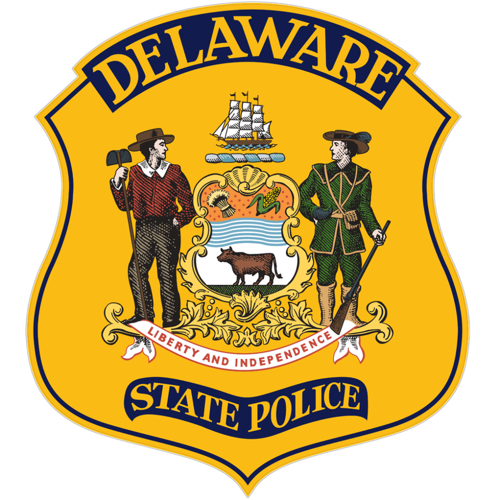 dsp badge 1
